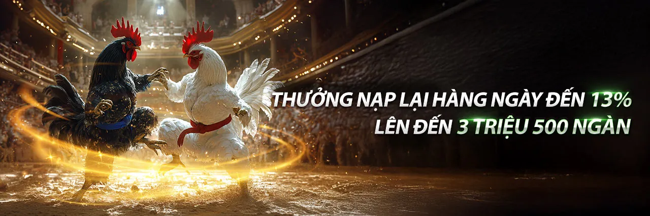 Đá Gà Bến Tre Trực Tiếp, Sân Đấu Hấp Dẫn